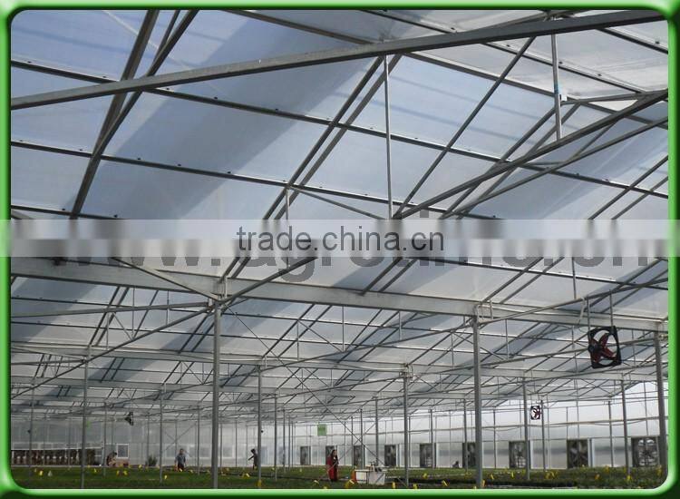 desert rose growing greenhouse for sale in China