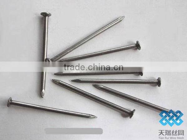 common nail/polished nail/galvanized nail
