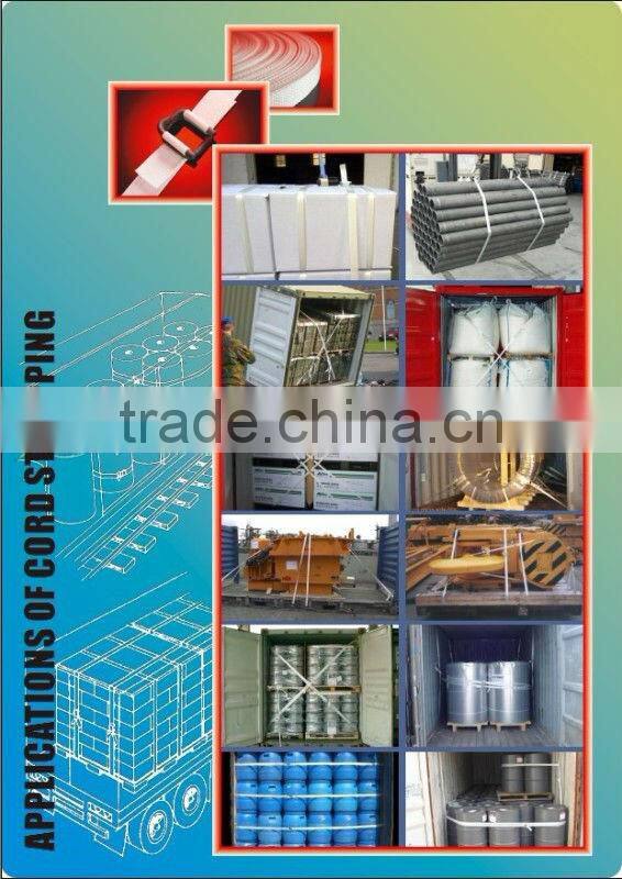 pet pp glass fibre strap making machine/extrusion line