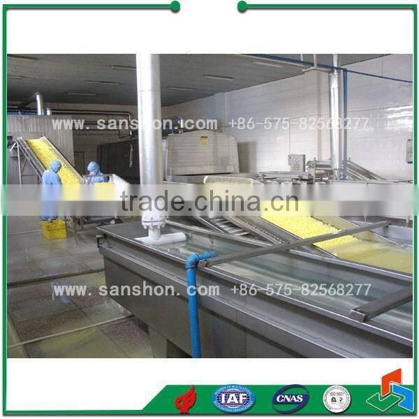 Quick Freezing Vegetable Production Line