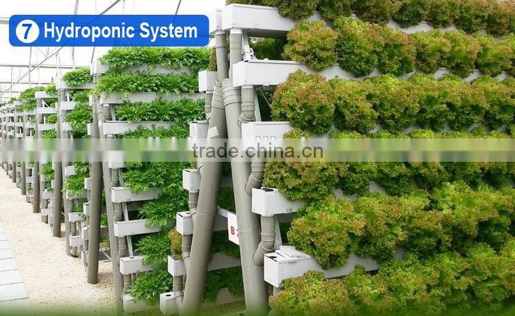 Fiberglass sheet for greenhouse