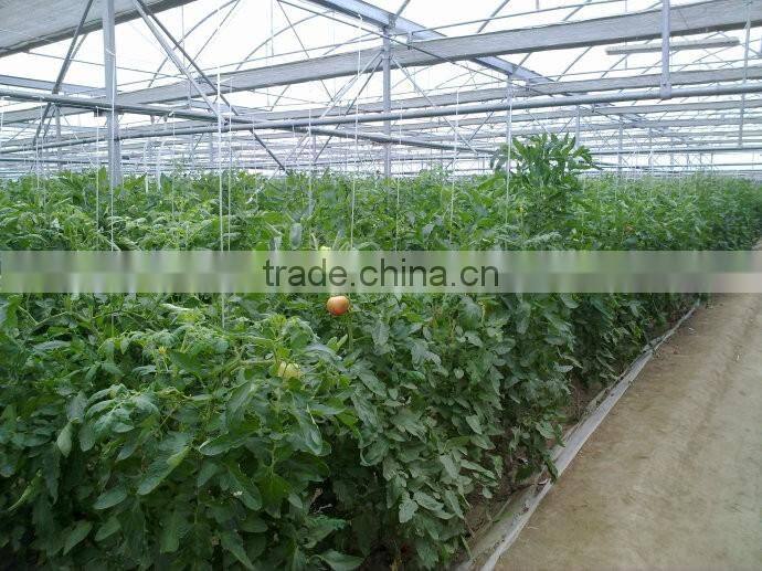 Arch Pipes Greenhouse