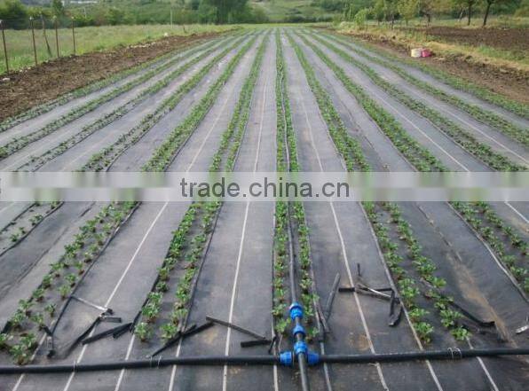 plastic weed control mat