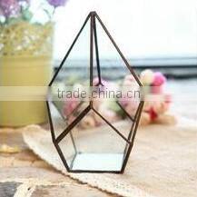 Micro landscape terrarium ornament hanging crystal glass flower vase