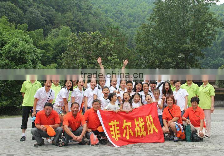 Hot sale paper dog house