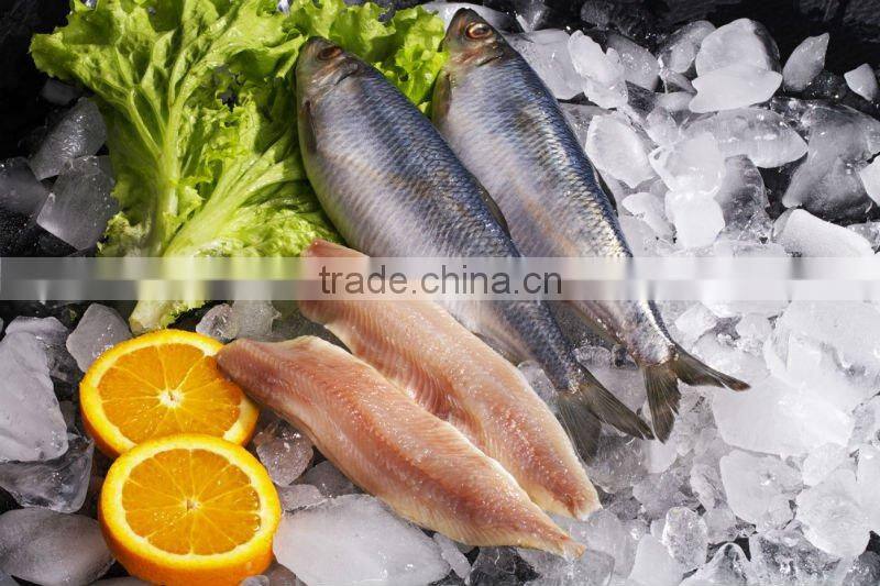 Frozen herring fillets