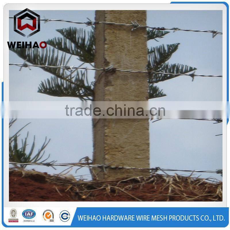 reioforce and durable barbed wire fencing used in the prison