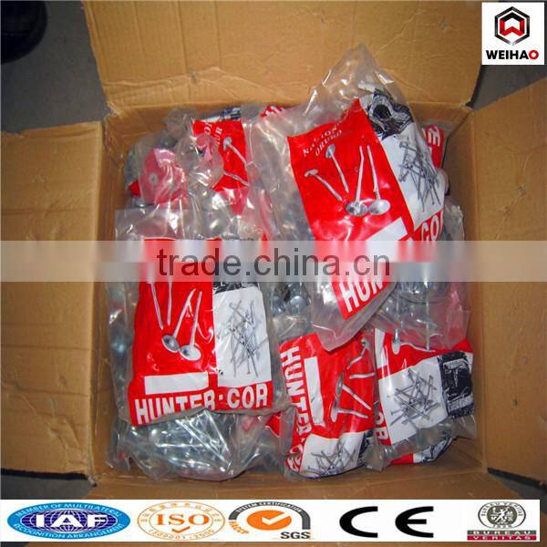 2 inch umbrella head roofing nail