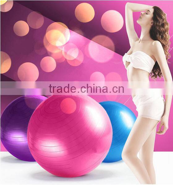 Shuoyang wholesale Fitness Centre Soft thicken Yoga Ball for women