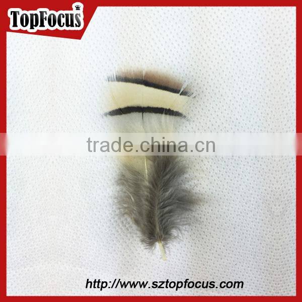 wholesale down pheasant Partridge Plumage Natural pheasant feathers prices