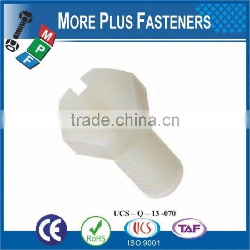 Made in Taiwan Metric Coarse Slotted Hexagonal Metric Thread Nylon Hexagon Polycarbonated Hex Head Plastic Screw
