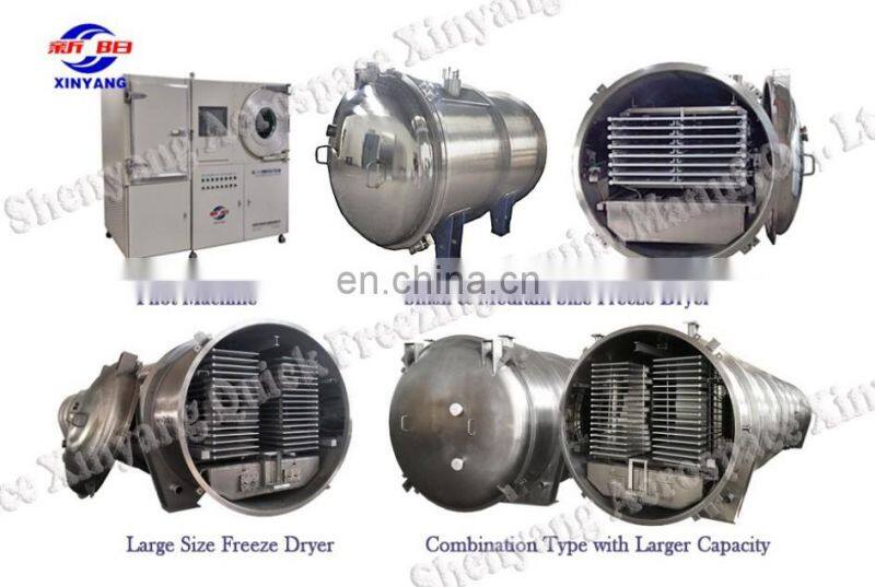 Scorpion Venom Vacuum Commercial Freeze Dryer