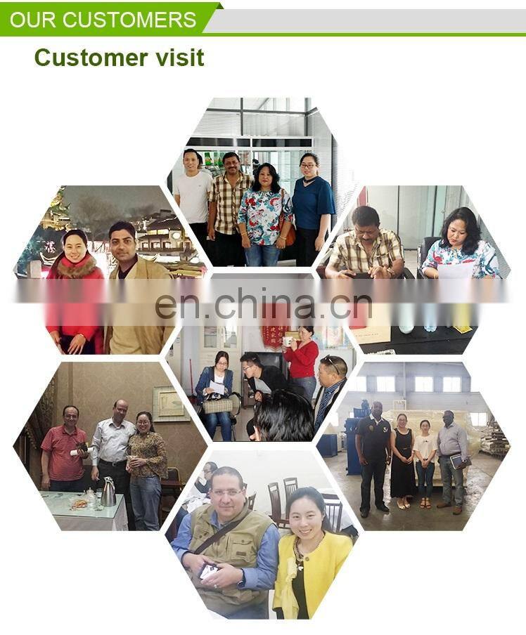 Fully Automatic Wrap-around Case Packer Bottle Cartoning Machine