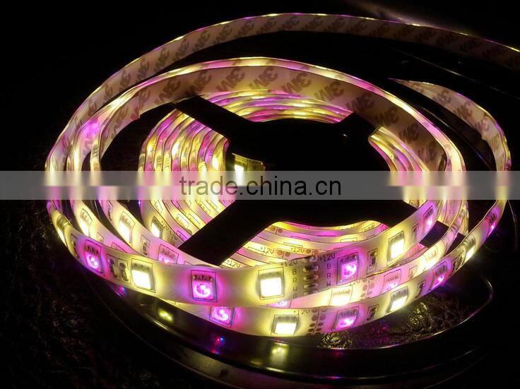 DC12V dc24v SMD 5050 LED Strip RGBW