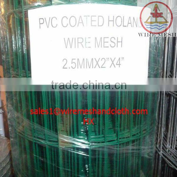 1x1 galvanized and pvc coated welded wire mesh