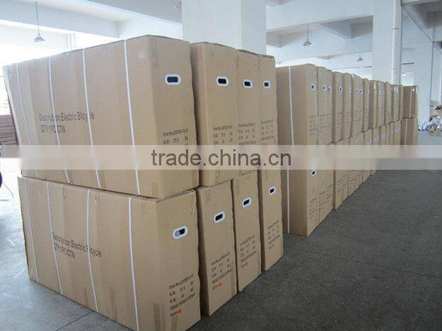 2014 small light weight folding bike electric