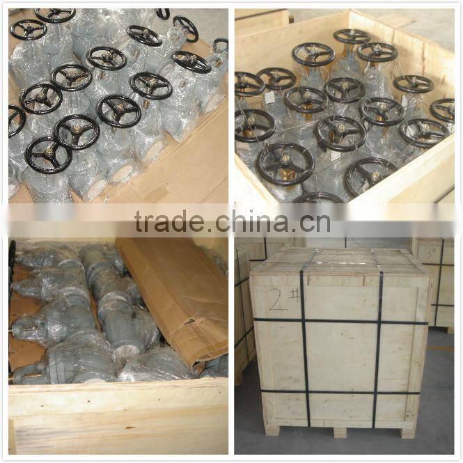 JIS F7319 10K Marine Cast Steel Glove Valve