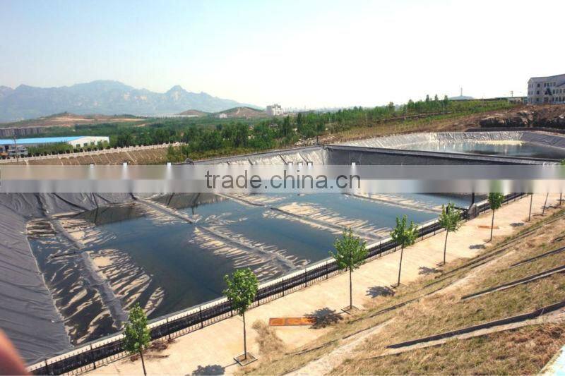 HDPE Geomembrane