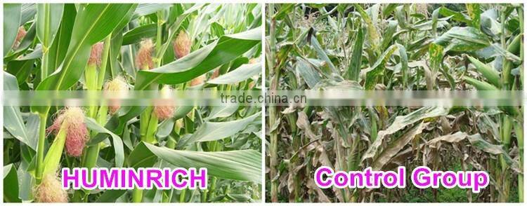 Huminrich Shenyang SH9002s-1 100PCT 55HA+65OM Soluble Super Grade Humic Acid