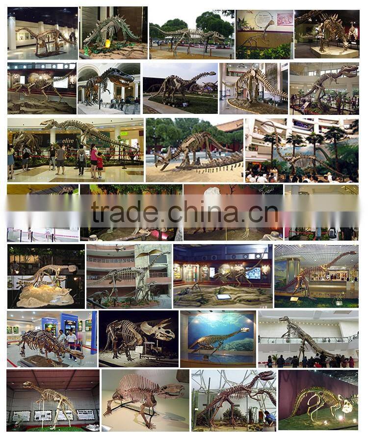 OA-SD-L35 Museum Exhibition Equipment Dinosaur Skull