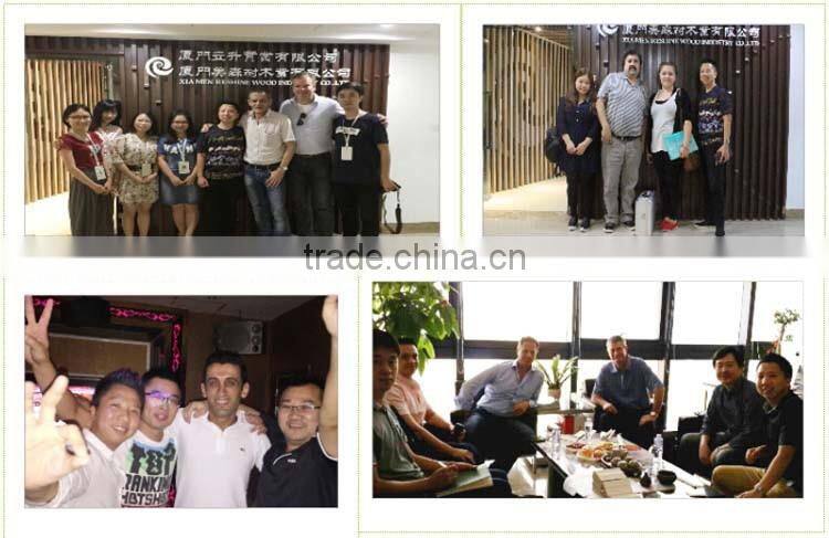 PVC shutter window doors design