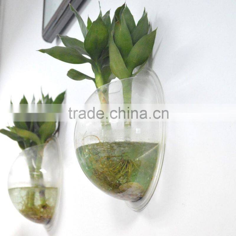 ecofriendly decorative wall mounted clear acrylic aquarium