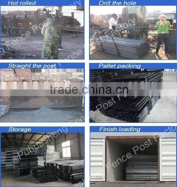 Black Rural Y Steel Fence Post (factory & trader)