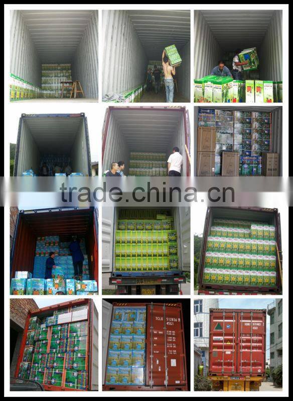 New 20L agricultural battery operated sprayer electric sprayer