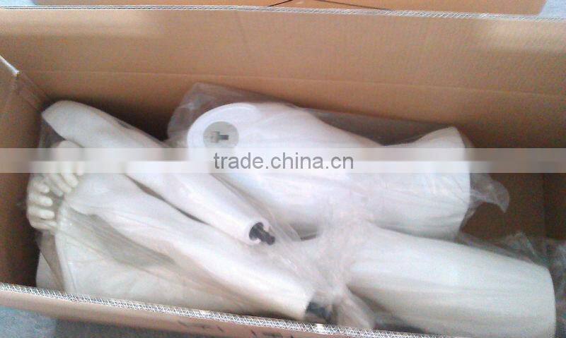 hot sale fashion and decent plastic mannequin without head