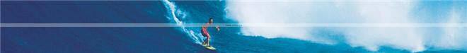 2016 New fashion customized color strong performance surfboard leash/Professional OEM surfing leash