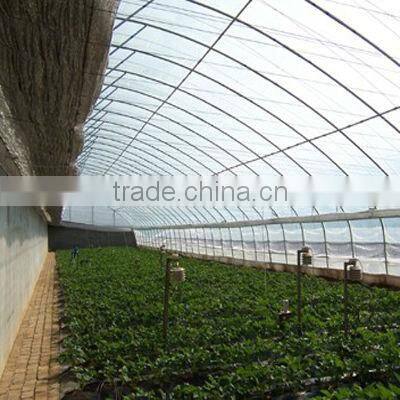 HPS Lighting for greenhouse plant