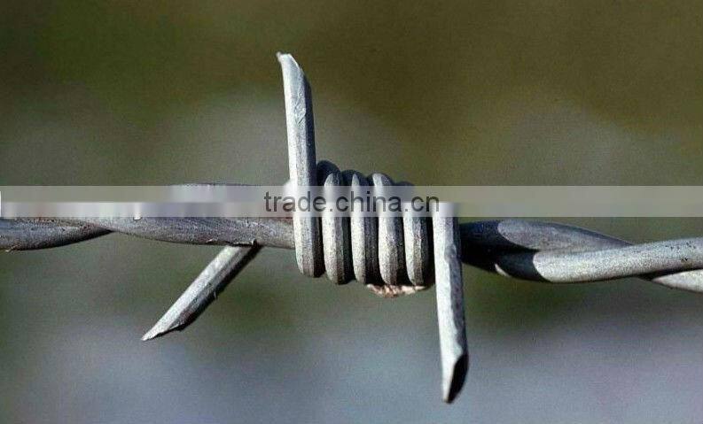 Anping Xinboyuan Barbed Wire(manufacture)