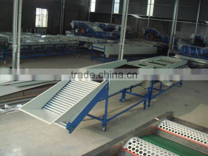 THOYU brand Stainless steel Onion sorting machine (0086 15937167907)