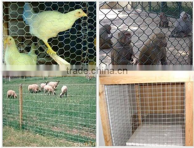 Pvc Coated /Galvanized Hexagonal Wire Mesh for chicken fence/highway fence