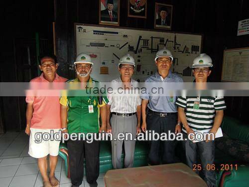 Complete edible oil processing line edible Oil Line