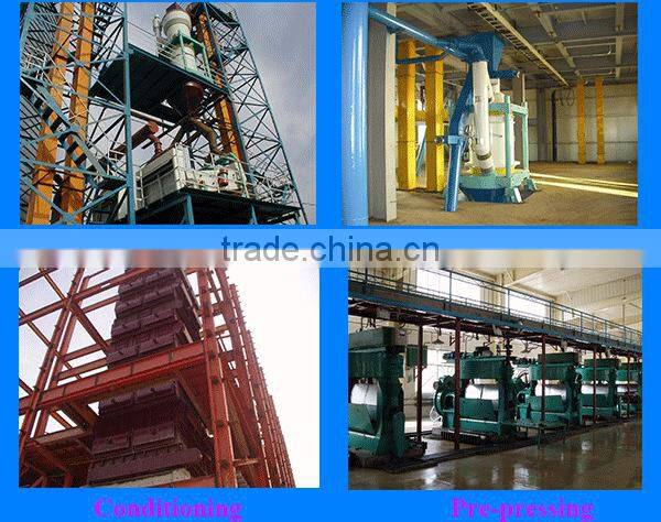 sunflower oil mill project/sunflower oil milling machine