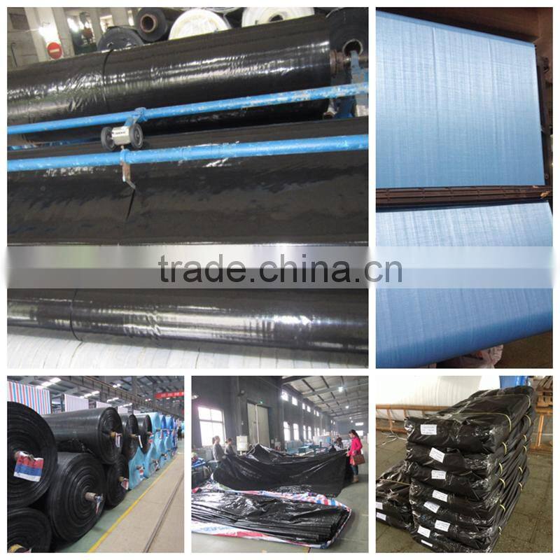 durable uv stablized aquaculture pond liner for shrimp farming