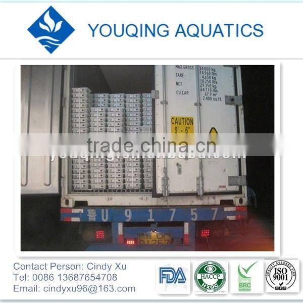 Export seasoned Hairong from China