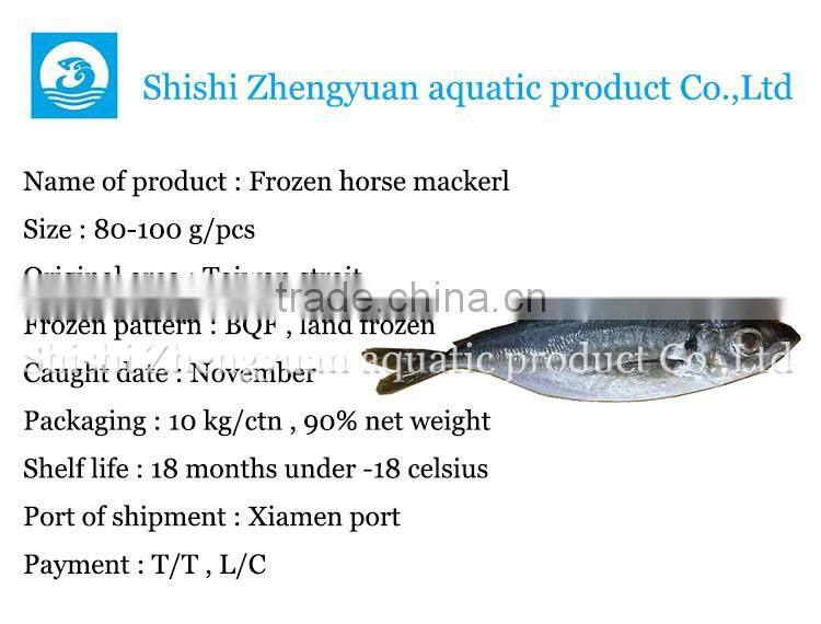 New caught fresh whole round frozen horse mackerel with competitive price