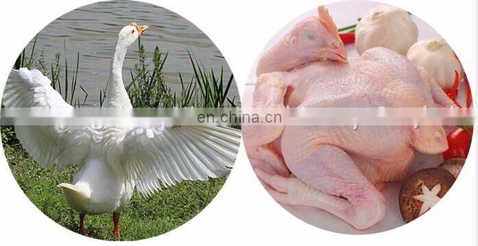 High Efficiency Chicken Scalding Tank Goose Scalding Pool Poultry Scalding Machine