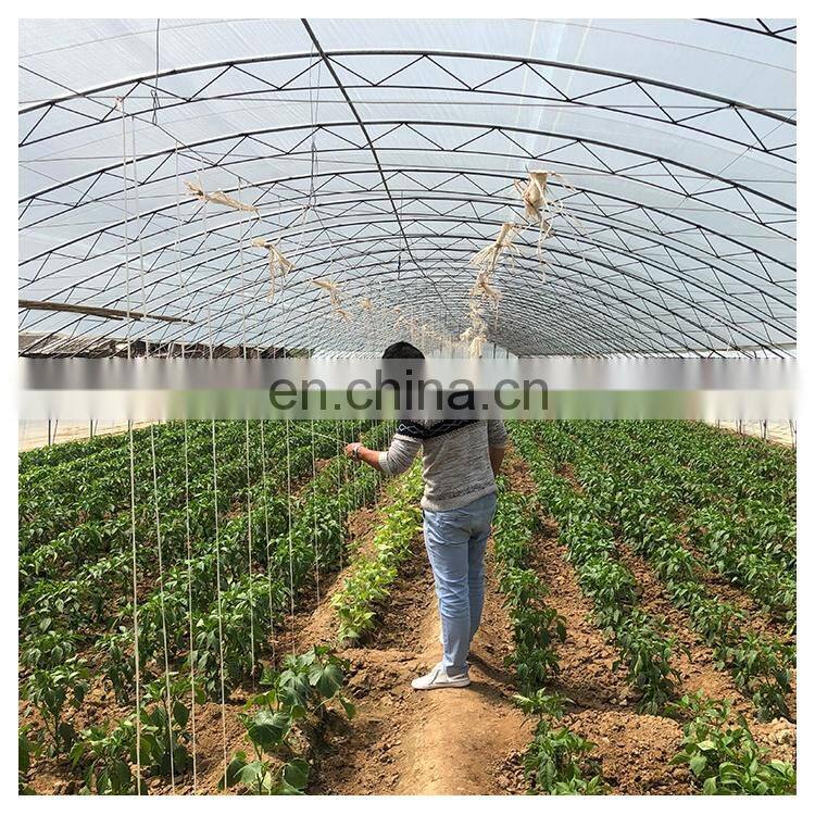High quality cheap price agricultural indoor solar greenhouse frame with plastic sheet tent