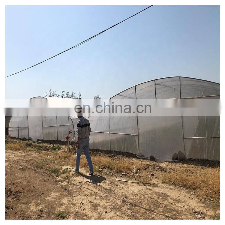 High quality cheap price agricultural indoor solar greenhouse frame with plastic sheet tent
