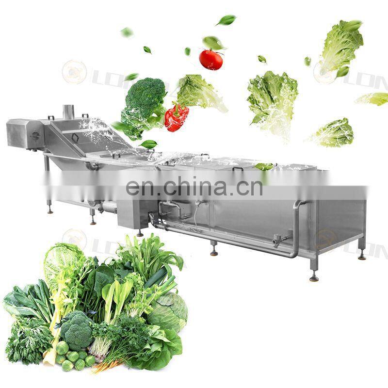 Automatic Vegetable Fruit Processing line fruit vegetable blanching machine