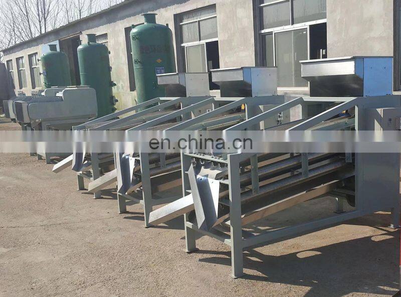 Good performance Apricot kernel classifier grader sorting machine