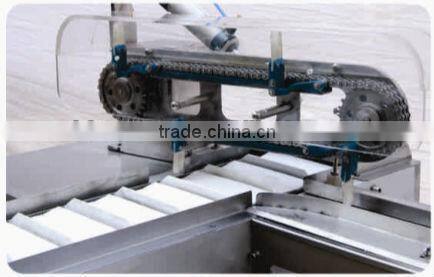 Automatic JY-350C-HSI Type Ice Cream Packer