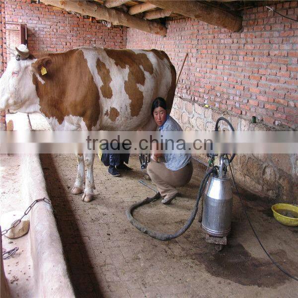 electric/high quality/stainless steel/25L goat milking machine