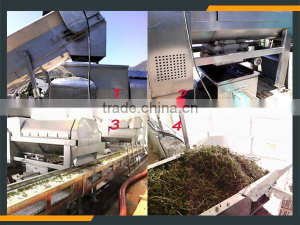 Leader high quality grape crusher machine