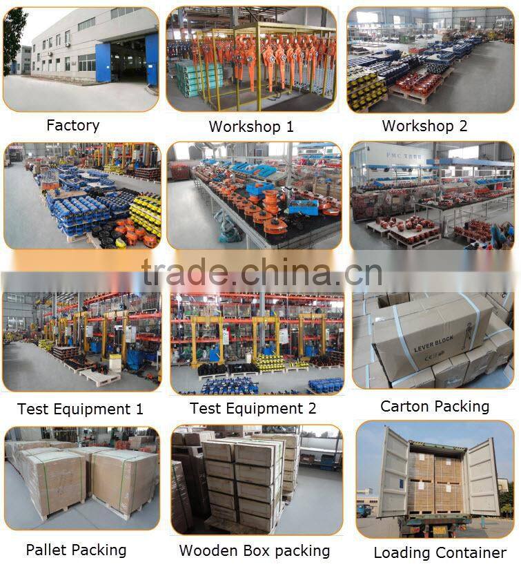 Hot Sale Lifting Machine Capacity 250 KG-10000 KG
