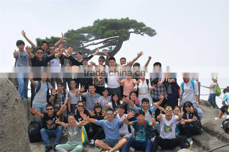 Interchangeable Ski Goggle, Safety Snow Goggles