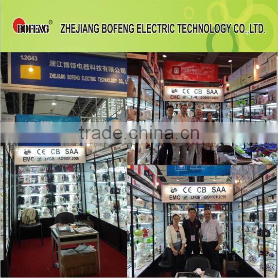 2016 GS/CE/LVD/LFGB/ROHS/ REACH/ PAH New ceramic kettle BF13028D--